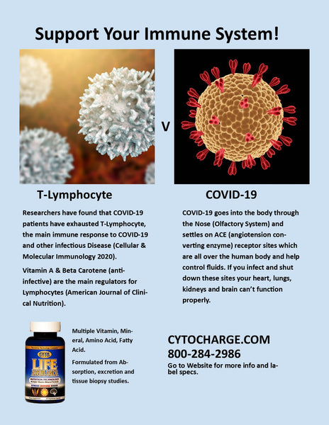 T lymphocyte V COVID 19